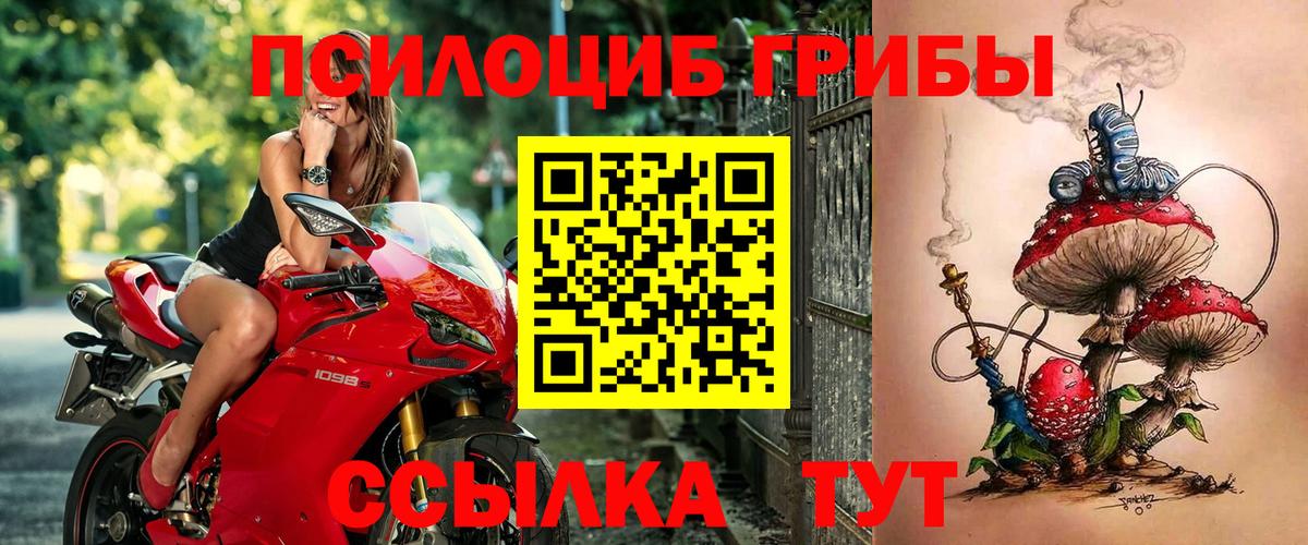 Саки  Галлюциногенные грибы MAGIC MUSHROOMS  Вход с VPN 